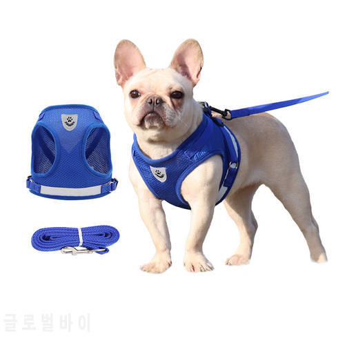 Dog Leash Set, Puppy Leash Harness, No-Choke Dog Harness, Mesh Dog Harness, Comfortable Dog Harness with Padded Handle