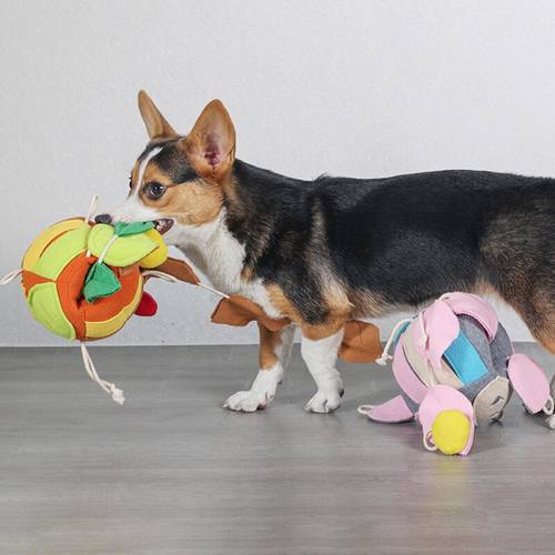 Dog Snuffle Toy Squeak Chew Toys for Puppy Teething Soft Plush Ball Hide & Seek Foraging Game for Small Medium Dogs Pet Supplies