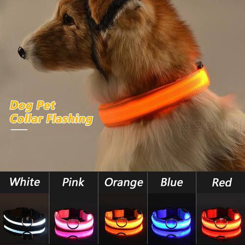 Led Dog Collar Luminous Anti-Lost Collar For Dogs USB Charging Dog Glowing Collars Flash Necklace Outdoor Night Safe Pet Product