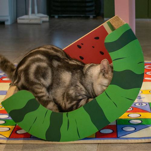 Fruit Cat Scratch Board Cat Grabbing Corrugated Carton Pet Toys Interactive Cat Carton Sofa House For Kitten Having Fun Playing