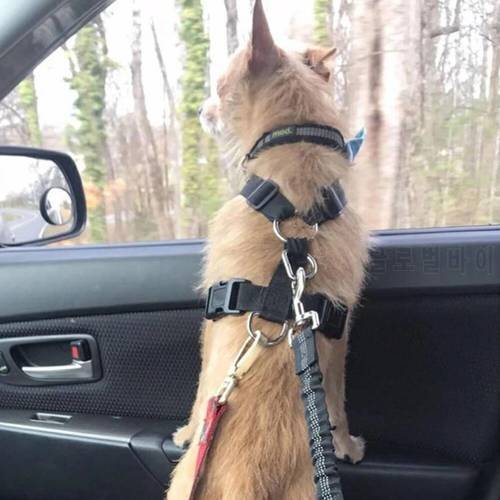 Pet Dog Cat Car Seat Belt Adjustable Harness Seat Belt Leash For Small Medium Dogs Travel Clip Pet Seatbelt Accessories Supplies